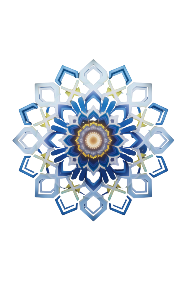 Mandala 3D Print Crop Top