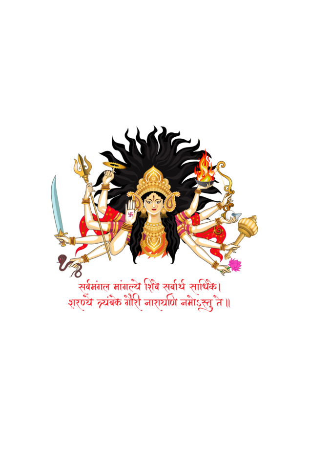 Durga Maa Printed Crop Top
